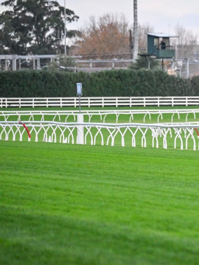 Caulfield Track