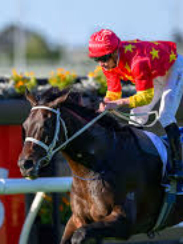 Derby Form