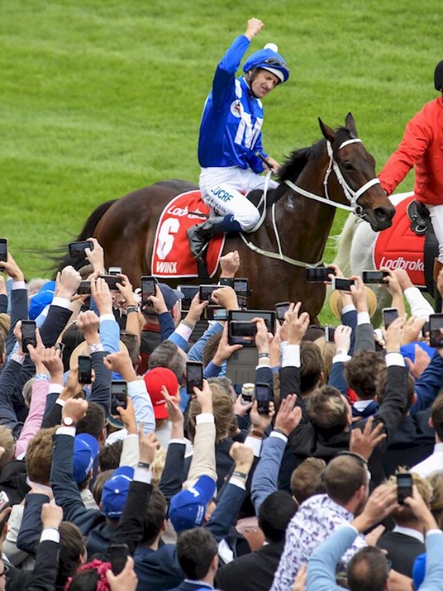 TB’s Best Horse