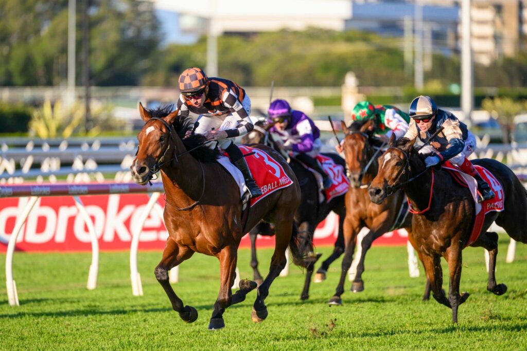Adelaide bypass pays off as Fireball Miss wins Queensland Oaks
