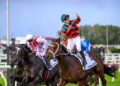 Like father, like son: Marshall’s Stradbroke fairytale