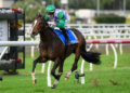 Splash Back delivers Begg’s masterplan