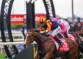 Like father, like son: Marshall’s Stradbroke fairytale