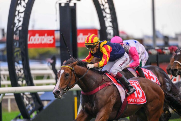 Taylor Marshall partnered the Toby Edmonds-trained Spicy Martini ($13) to a thrilling win in Saturday's $3 million Eagle Farm  Courtesy Michael McInally/Racing Queensland