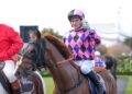 Walking the dog for glory: Cartwright’s Stradbroke sacrifice