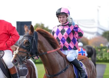 Walking the dog for glory: Cartwright’s Stradbroke sacrifice