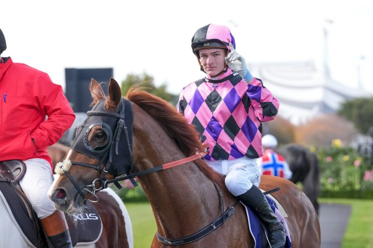 Luke Cartwright returns to the mounting yard on Brave Danza after winning the Trevor Clarke Handicap at Flemington Racecourse on May 16, 2026 in Flemington, Australia. (Photo by Brett Holburt/Racing Photos)