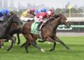 New Flemington chapter starts with a winner