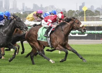 New Flemington chapter starts with a winner