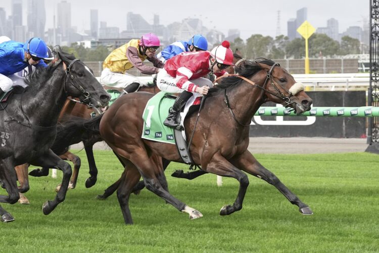 Fontein Jewel ridden by Ryan Houston wins the TAB We're On at Flemington Racecourse on June 20, 2026 in Flemington, Australia. (Photo by Brett Holburt/Racing Photos)
