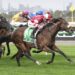 New Flemington chapter starts with a winner
