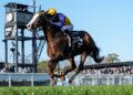 Heathcote banking on Abounding to go one better in Tiara