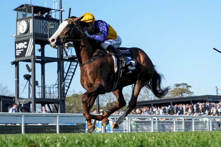 Abounding ridden by Blake Shinn wins the Tristarc Stakes at Caulfield Racecourse on October 18, 2025 in Caulfield, Australia. (Photo by George Sal/Racing Photos)