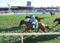 Can jumps revive Smokin’ Romans? Maher tries bold reboot