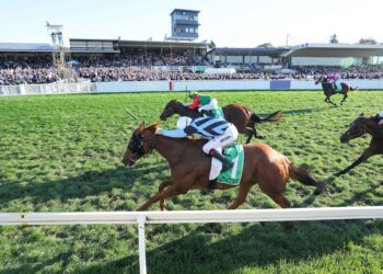 Can jumps revive Smokin’ Romans? Maher tries bold reboot