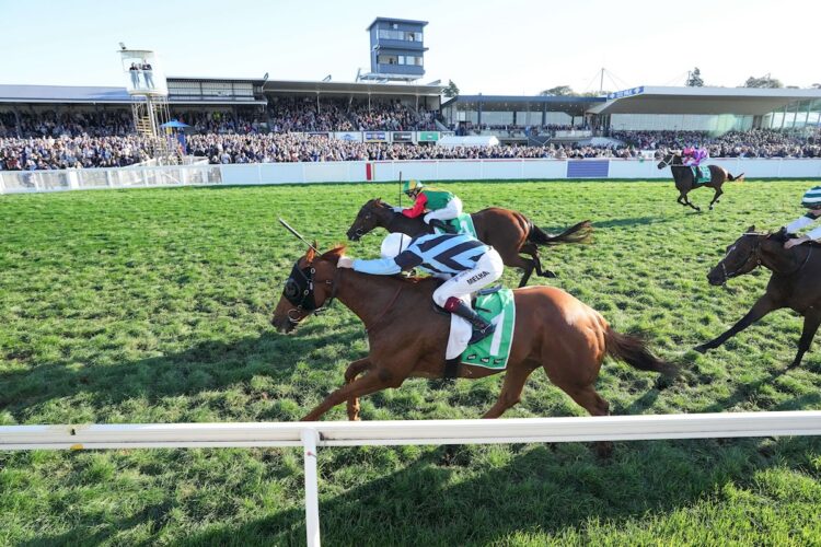 Smokin' Romans (NZ) ridden by Ben Melham wins the Sungold Milk Warrnambool Cup at Warrnambool Racecourse on May 01, 2025 in Warrnambool, Australia. (Photo by Reg Ryan/Racing Photos)