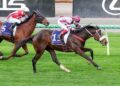 From the coffee van to Flemington glory