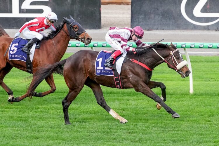 Vegas Jack ridden by Dean Yendall wins the Country Racing It's Got It All Trophy at Flemington Racecourse on June 20, 2026 in Flemington, Australia. (Photo by George Sal/Racing Photos)