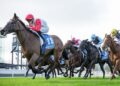 Lucky Brook earns spring shot