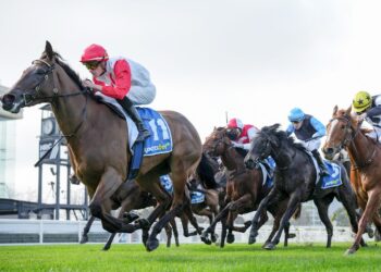 Lucky Brook earns spring shot