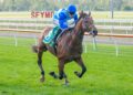 The staying colt with Melbourne Cup dreams