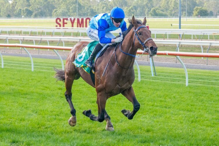 Nihancan (NZ) ridden by Dylan Dunn wins the Seymour Equine Clinic Maiden Plate at Seymour Racecourse on May 21, 2026 in Seymour, Australia. (Photo by Jay Town/Racing Photos)