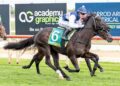 Freedman faces big call on rising talent