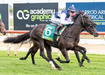 Freedman faces big call on rising talent