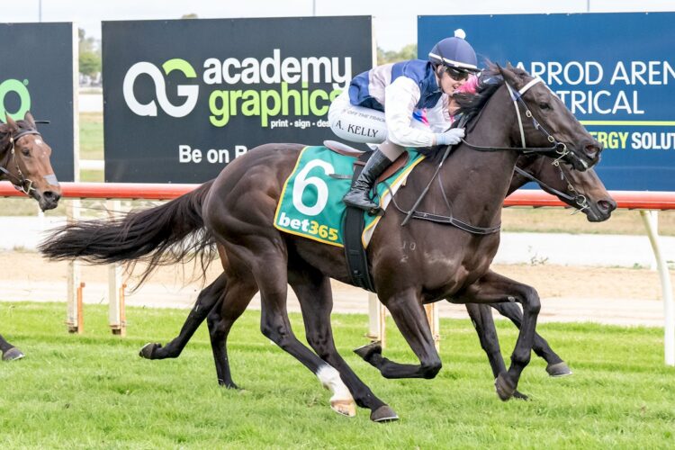 Tatakai Uta ridden by Alana Kelly wins the bet365 Same Race Multi 3YO Maiden Plate at Swan Hill Racecourse on June 06, 2026 in Swan Hill, Australia. (Photo by Jay Town/Racing Photos)