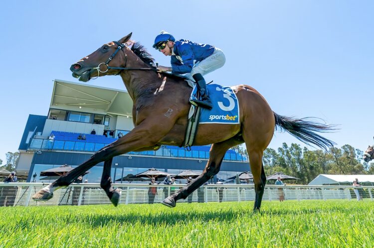 I'mateez ridden by Blaike McDougall wins the Christmas Races @ Wangaratta - On Sale Now 3YO Maiden Plate at Wangaratta Racecourse on October 27, 2025 in Wangaratta, Australia. (Photo by Jay Town/Racing Photos)