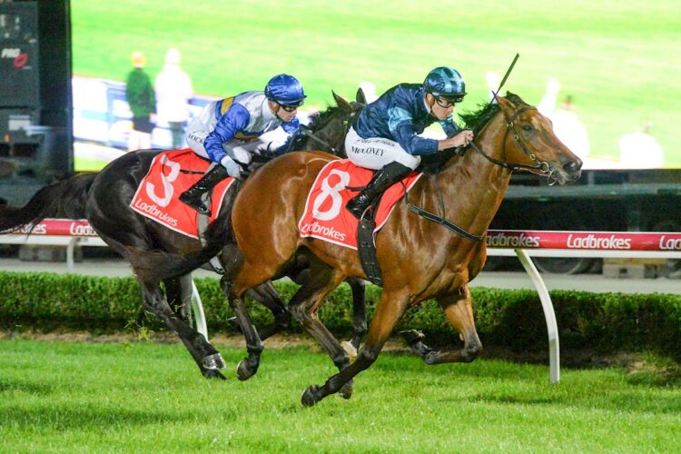 Bella Verona ridden by Patrick Moloney wins the Hertz Maiden Plate at Cranbourne Racecourse on April 17, 2026 in Cranbourne, Australia. (Photo by Ross Holburt/Racing Photos)