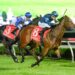 Laurie’s huge Bella Verona claim as Queensland trip remains alive