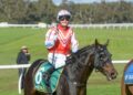 Meech cops month-long ban after Geelong inquiry