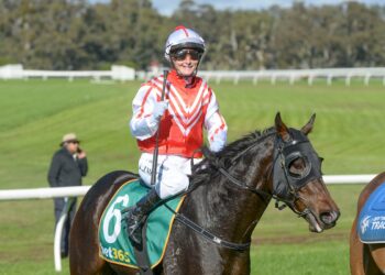 Meech cops month-long ban after Geelong inquiry