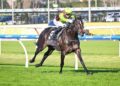 Four straight and flying, I’m Foxing made a mess of her rivals at Caulfield