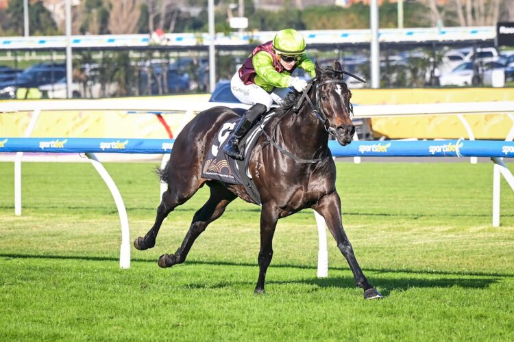 I'm Foxing ridden by Luke Cartwright wins the MRC Membership Made Of Moments Handicap at Caulfield Racecourse on June 27, 2026 in Caulfield, Australia. (Photo by Reg Ryan/Racing Photos)