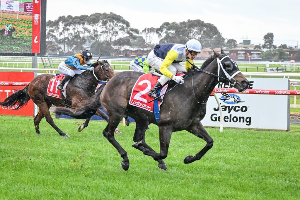 The $120,000 collect, the $41 roughie and the big multis that landed