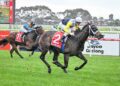The $120,000 collect, the $41 roughie and the big multis that landed