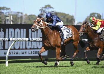 Home Affairs crowned champion freshman sire