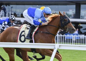 Snowden chasing record seventh Ramornie despite horror draw