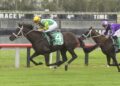 So You Are chasing fairytale farewell before Bjorn Baker switch