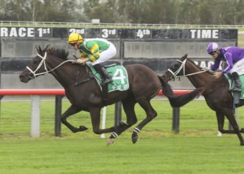 So You Are chasing fairytale farewell before Bjorn Baker switch