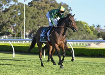 Miss Trentino impressed in her trial
