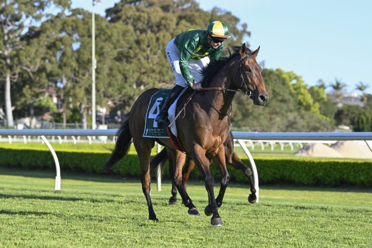 Miss Trentino impressed in her trial