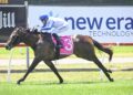 Snowden embraces wide draw as Seeiaye chases breakthrough
