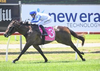 Snowden embraces wide draw as Seeiaye chases breakthrough