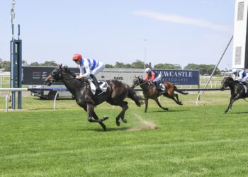 Drying track could unlock Embrace The Wind