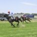 Drying track could unlock Embrace The Wind