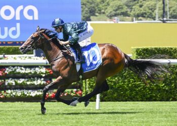 Freedman’s forgotten filly