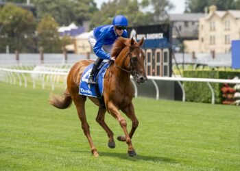 Threads out to cash in on elite juvenile form